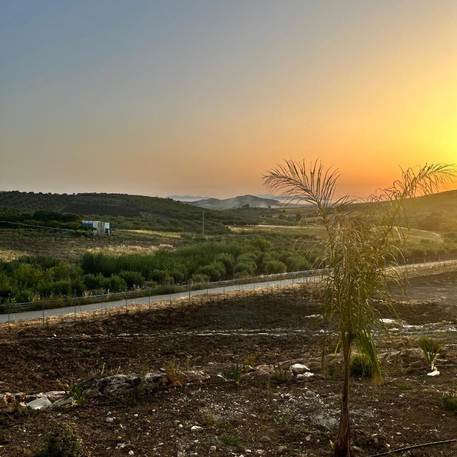 Manzil Country House Valderice Bagian luar foto